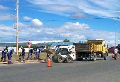 Contin�an los trabajos de forestaci�n y limpieza sobre Autov�a