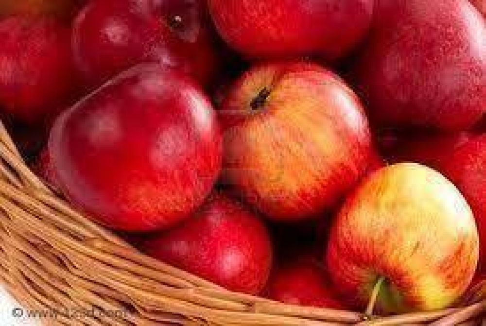 Baj� el precio de la manzana