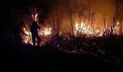 La ca�da de un tendido el�ctrico provoc� un incendio en Rivadavia