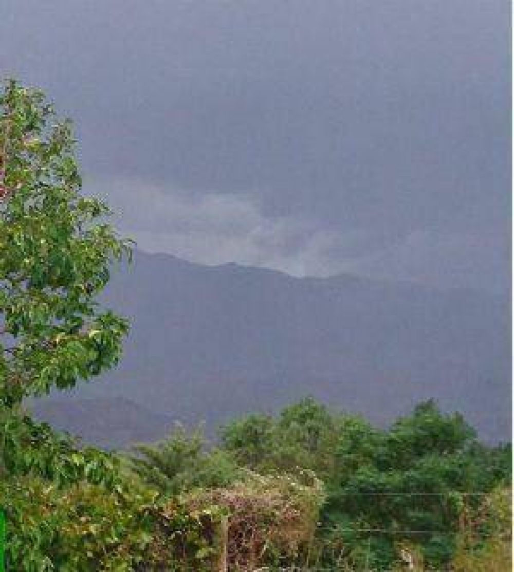 La lluvia lleg� a Calingasta y el viento ocasion� cortes de energ�a en distintos departamentos