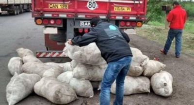 Trabajadores del Senasa inician hoy un paro por 72 horas en el Chaco