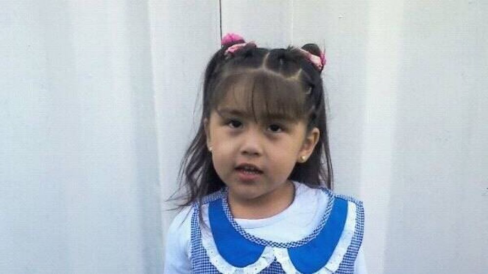 Los confunden con polic�as, los balean y matan a una nena