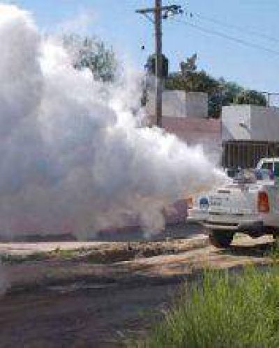 La brigada sanitaria recorrer� hoy los barrios Juan Manuel de Rosas e Ybirapit�