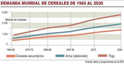 El futuro de la Regi�n Sur rionegrina: �Qui�nes lo deciden?