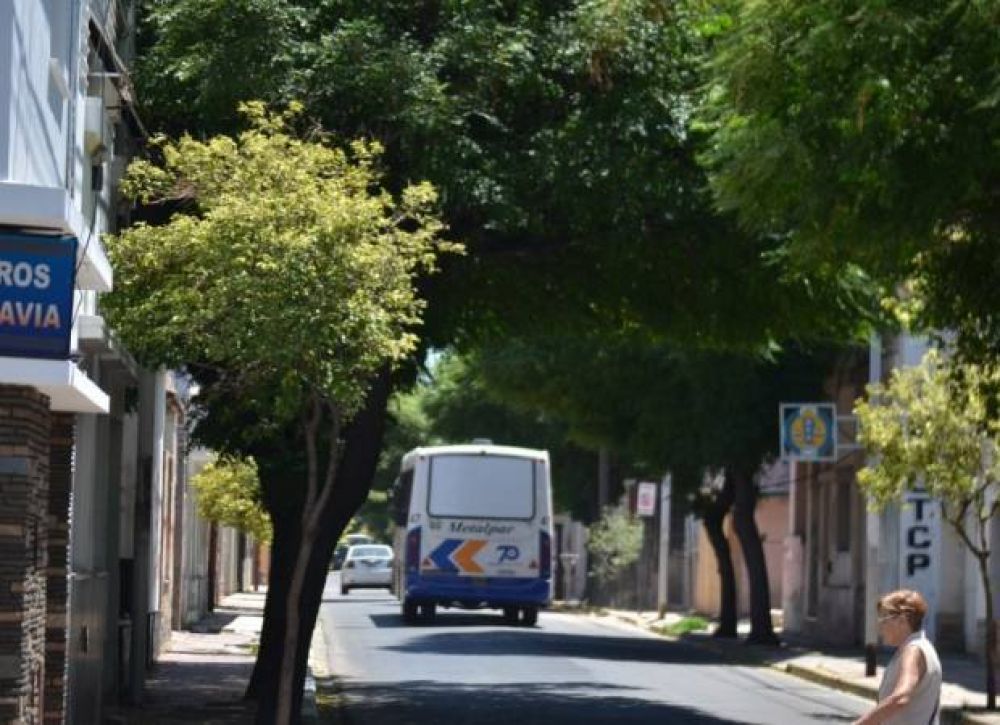 Determinan los lugares donde hay m�s delitos en el centro