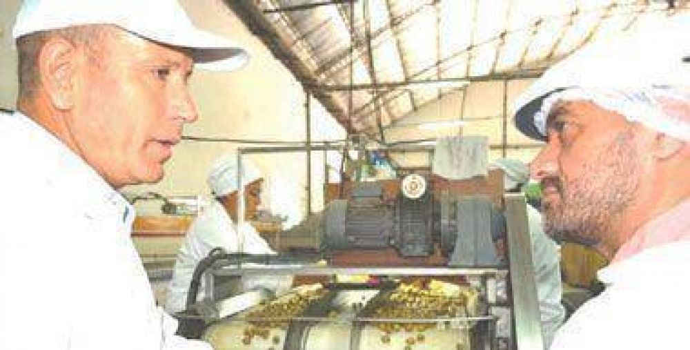 Renuevan el Fondo Rotatorio Oliv�cola para la Cosecha 2015