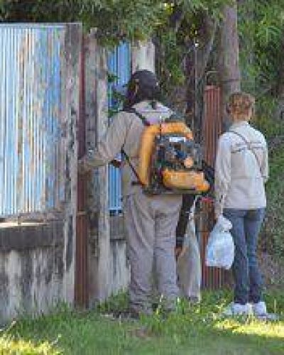 Dengue: La brigada sanitaria trabajar� en los barrios Venezuela y La Paz
