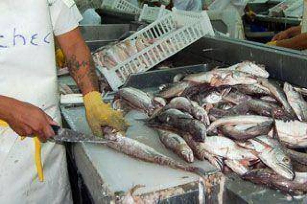 Pesca: STIA pidi� a empresas y Gobierno recuperar la actividad