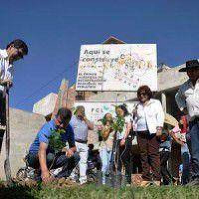 Peppo plant� el primero de los 137 �rboles que distribuir� Ciudad Limpia