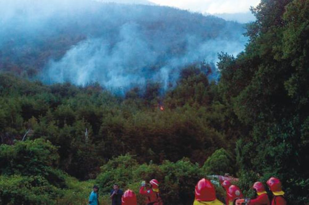 380 hect�reas afectadas en el valle de El Turbio