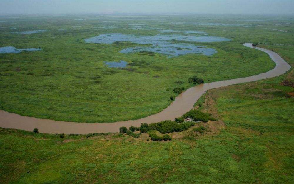 La Defensor�a del Pueblo de la Naci�n exhorto a �mejorar la gesti�n ambiental del Delta de Paran�