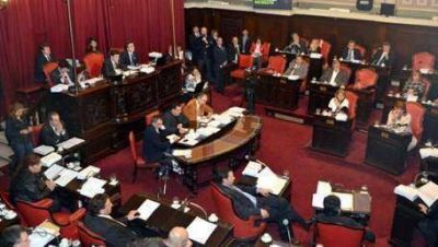 El FpV ya tiene nombres para la senadur�a platense