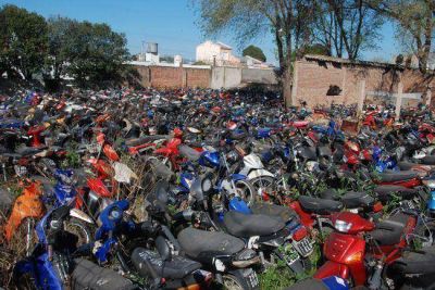 Santa Rosa: compactar�n 610 veh�culos