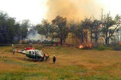INCENDIOS EN LA CORDILLERA: LA LLUVIA ALIVI� ESTE LUNES LA SITUACI�N DE COMBATE DEL FUEGO