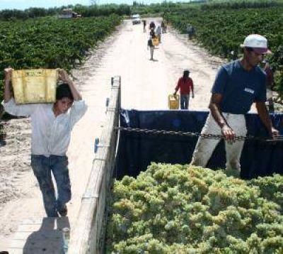Con $100 millones, abren cr�ditos para la cosecha