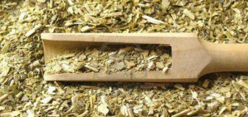 Yerba: Datos del INYM confirman que la cosecha 2014 fue r�cord hist�rico