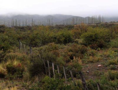 Por los campos que compr� en Mendoza, B�ez deber� declarar