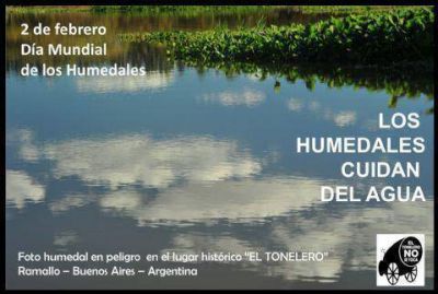 Humedales de Ramallo, en peligro