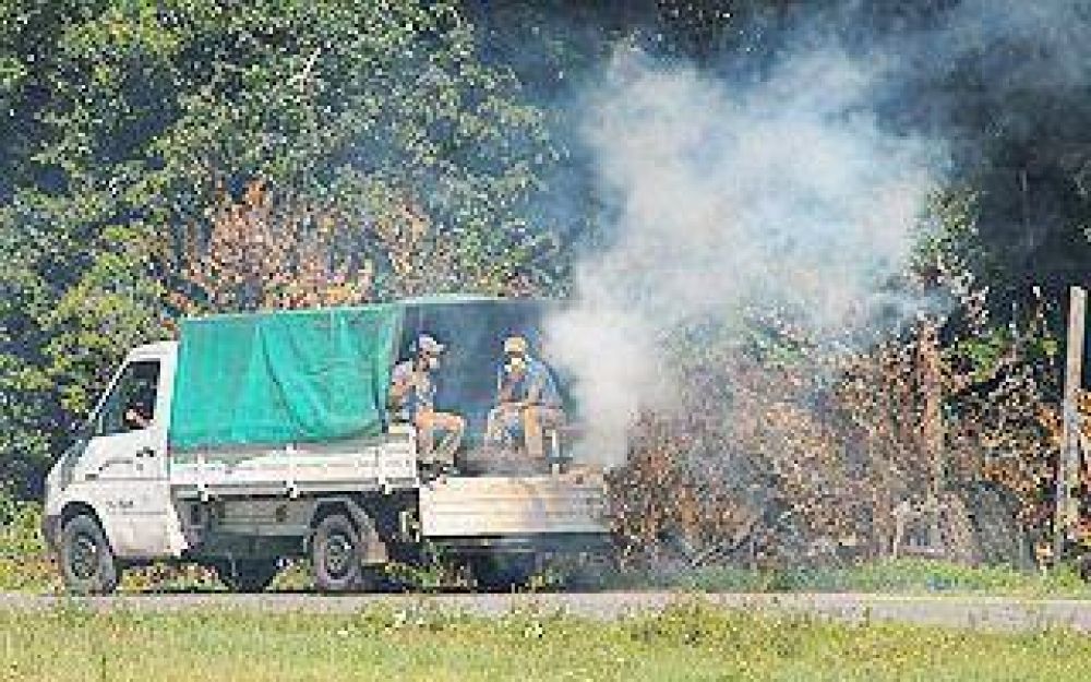 Controles de prevenci�n contra el dengue en Lomas