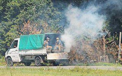 Controles de prevenci�n contra el dengue en Lomas