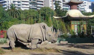 Fuerte denuncia contra el Zoo porte�o