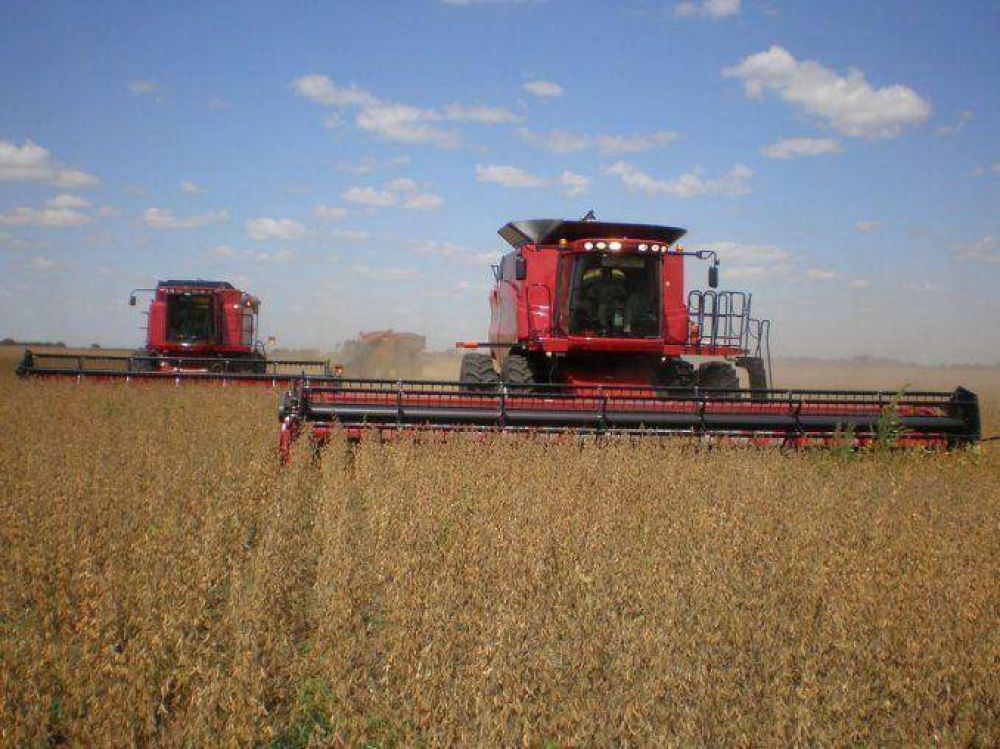 Estiman que habr una cosecha rcord de soja de 57 millones de toneladas