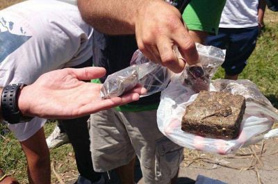 Seis kilos de marihuana y uno de coca�na, en 257 procedimientos