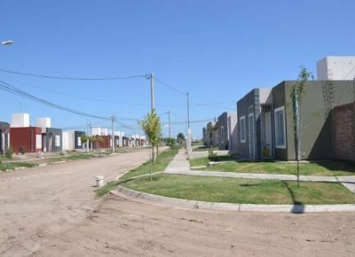 Un hombre muri� de un infarto despu�s que un pitbull atacara a su perro