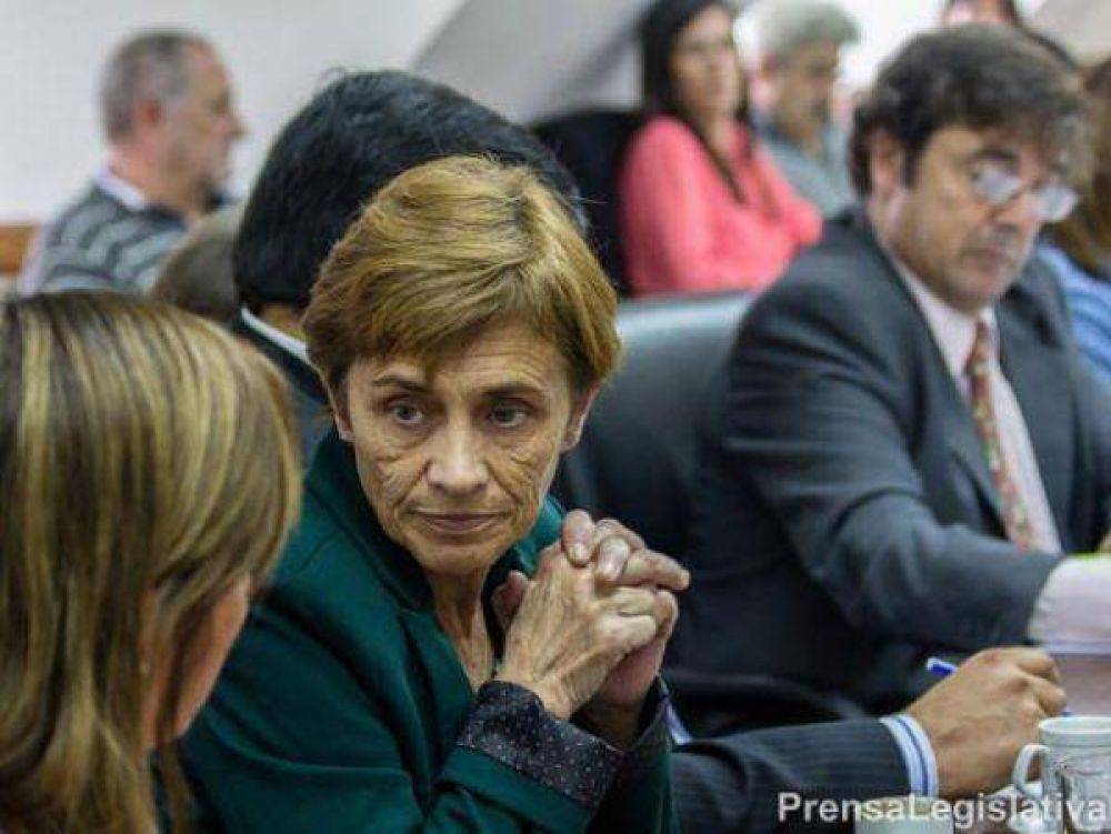Emergencia Previsional: �las modificaciones las he planteado siempre� dijo Gallardo