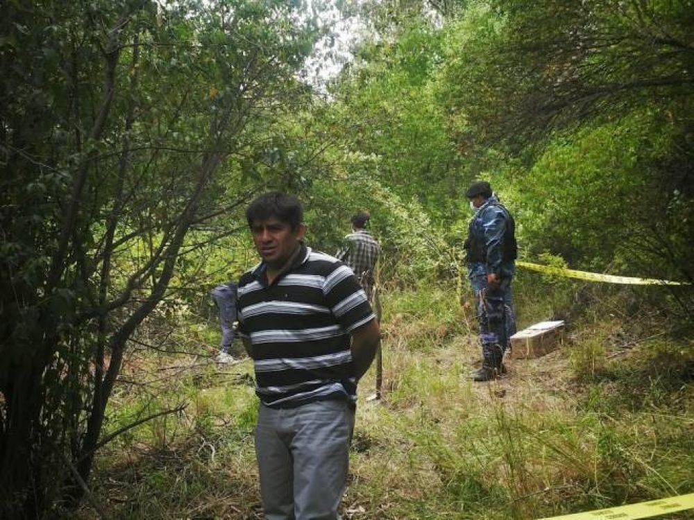Macabro hallazgo en El Bols�n: perros desentierran un cadaver
