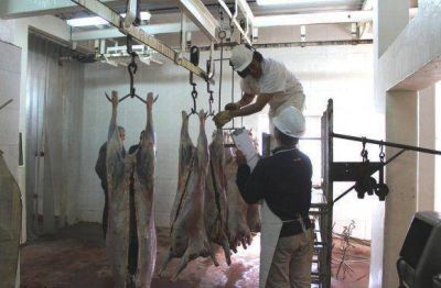 El Municipio concret� la reapertura del Matadero Municipal