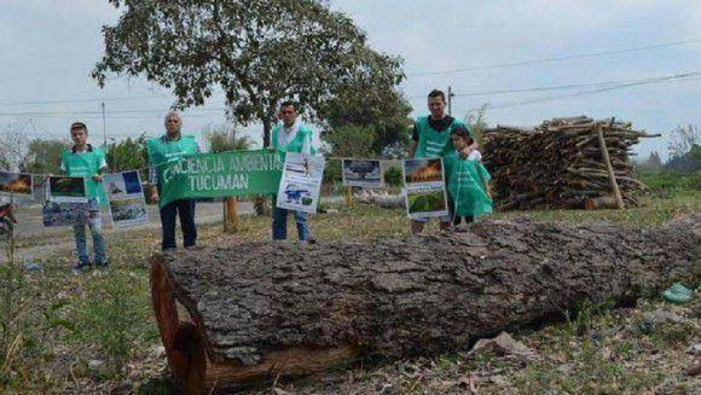Inundaciones: desmonte indiscriminado y falta de obras