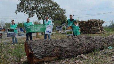 Inundaciones: desmonte indiscriminado y falta de obras