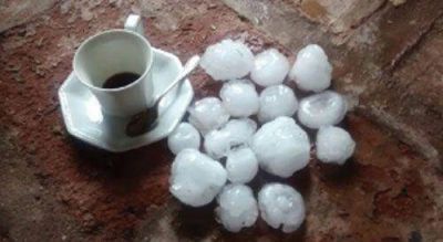 Un fuerte granizo afect� la producci�n en Nonogasta