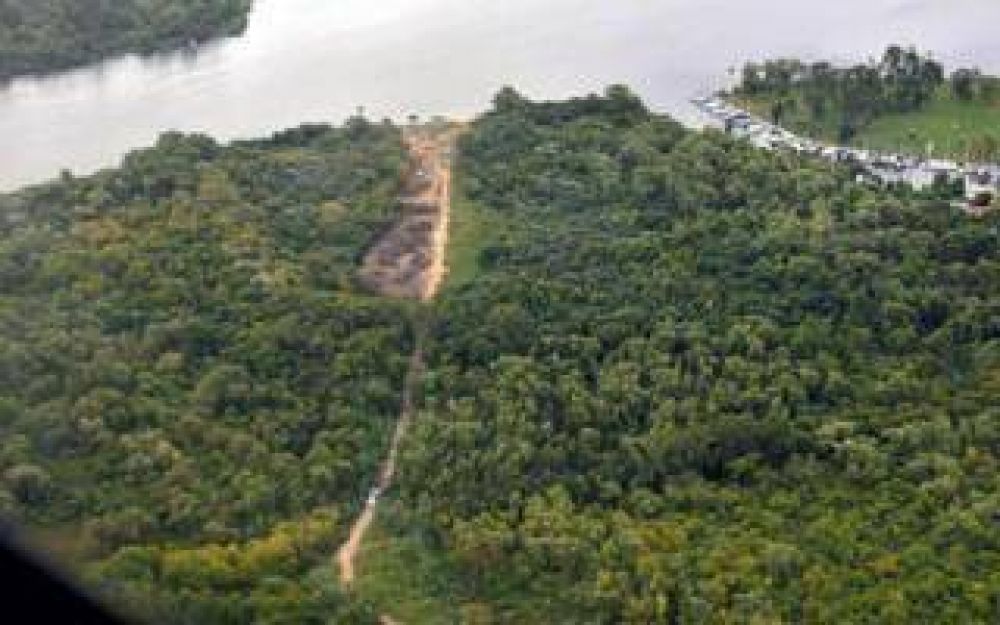 Denuncian deforestaci�n en �rea protegida de Ensenada