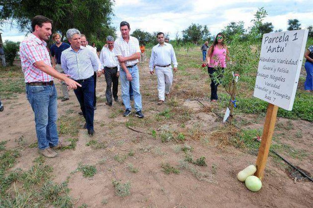 Poggi visit� una plantaci�n de almendros que crece en San Miguel