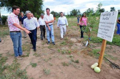 Poggi visit� una plantaci�n de almendros que crece en San Miguel