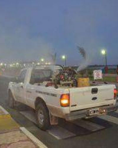 Dengue: La brigada sanitaria recorra hoy varias zonas