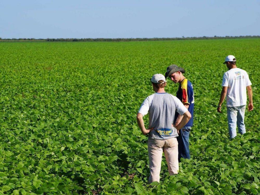 Contin�an inscripciones de carreras agrarias en San Pedro