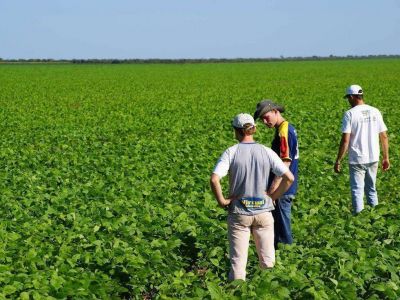 Contin�an inscripciones de carreras agrarias en San Pedro