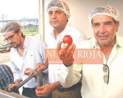 Agroandina procesa 1,6 millones de kilos de tomate diariamente