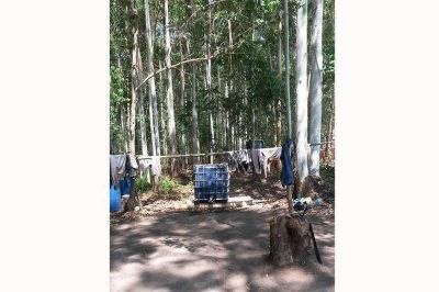 Volvieron a encontrar trabajadores forestales en condiciones precarias