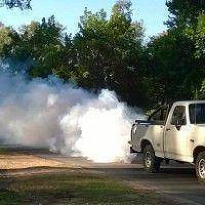 Fumigar�n contra moscas y mosquitos