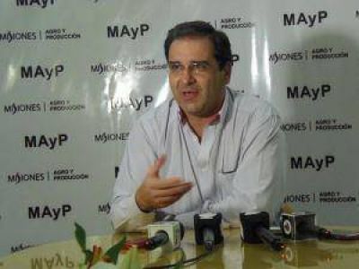 Esperan que el INYM pueda fijar precios de la yerba sin necesidad de ir a laudo