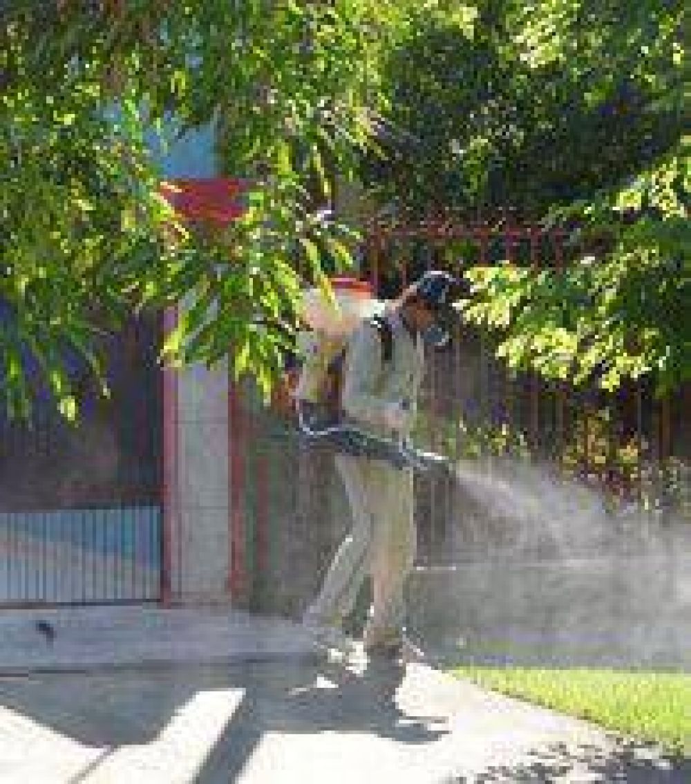 Acent�an acciones contra el dengue