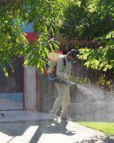 Acent�an acciones contra el dengue
