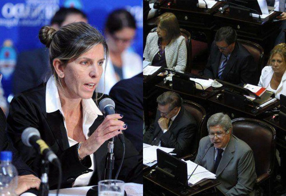 La muerte de Alberto Nisman y la nueva SIDE, los ejes que dividieron a los dos Congresos