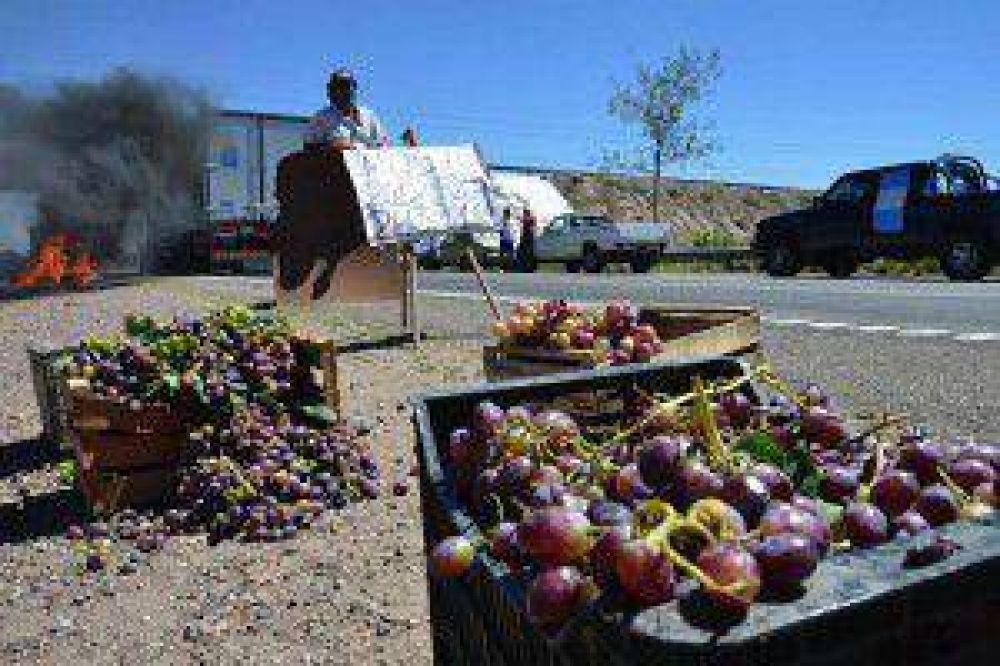 Corte y movilizacin de productores vitivincolas