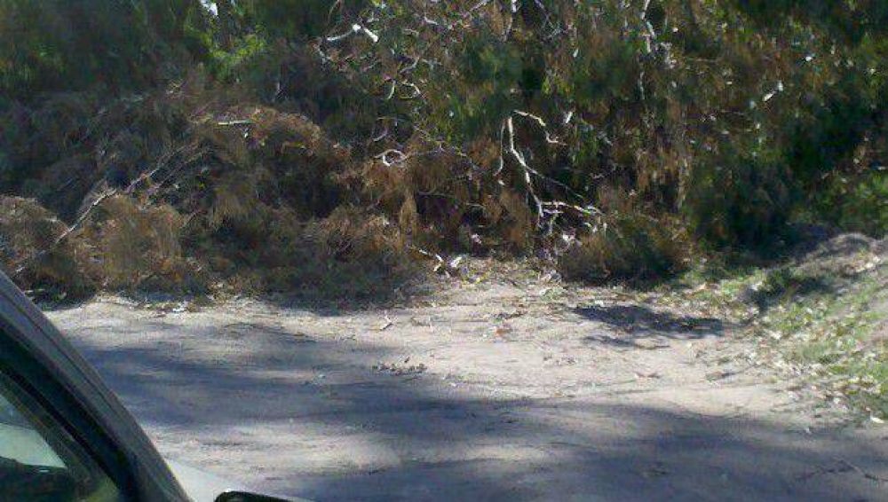 El bloque del FpV critic� al Ente de Claromec� 