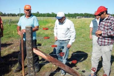 El Gobierno capacit� a trabajadores rurales en t�cnicas de alambrado